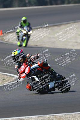 media/Sep-20-2025-TrackDaz (Sat) [[27f0cde673]]/C Group/1040am (Turn 3)/